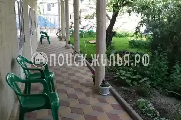 «Цоев ковчег», Голубицкая «Цоев ковчег», Голубицкая