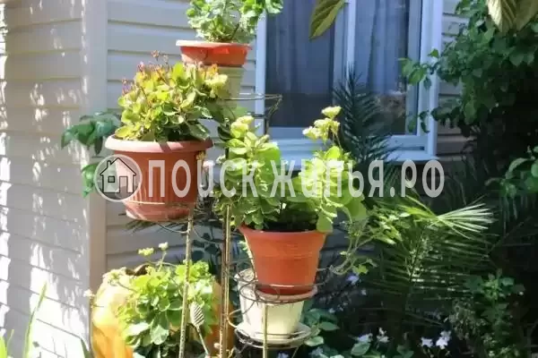 Частный сектор «Елена», Цандрипш