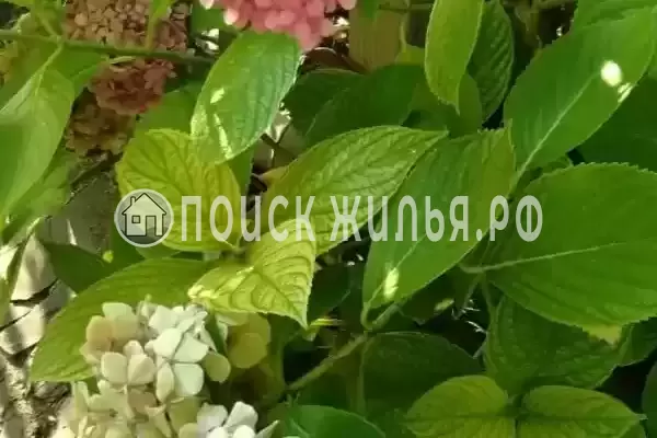 Киевская, д.24, Адлер