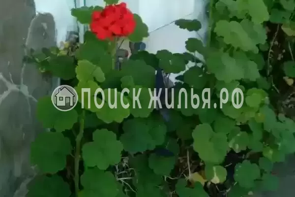 Киевская, д.24, Адлер