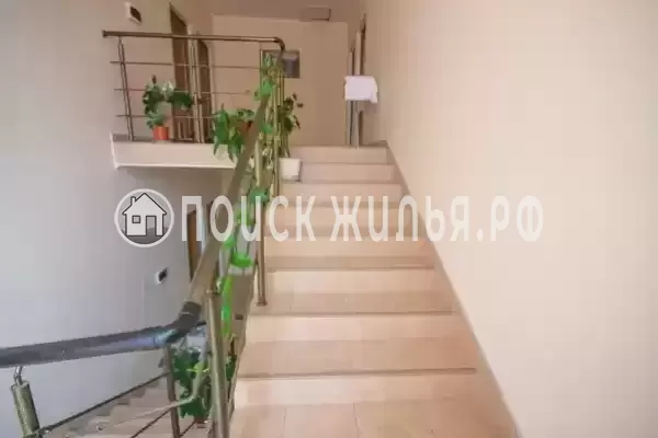 «В гостях у Марка», Адлер