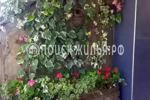 Гостевой дом «Наира», Адлер