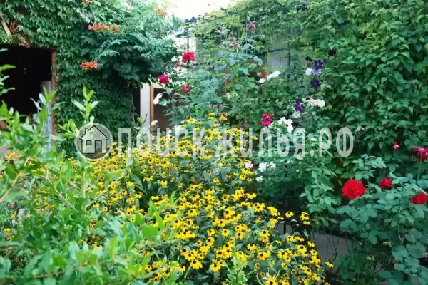 «Домик у моря», Саки «Домик у моря», Саки