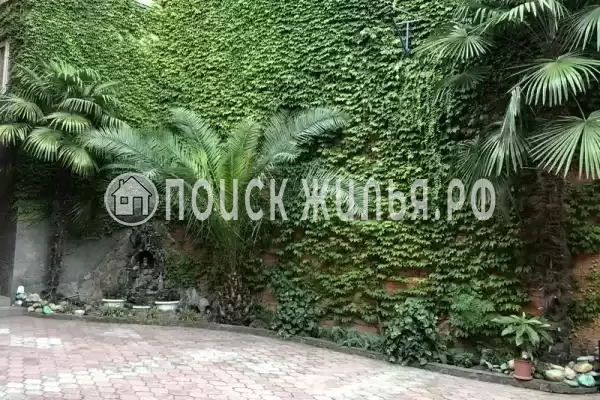 «Василек», Лазаревское