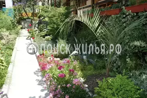 «У Богдана», Якорная Щель