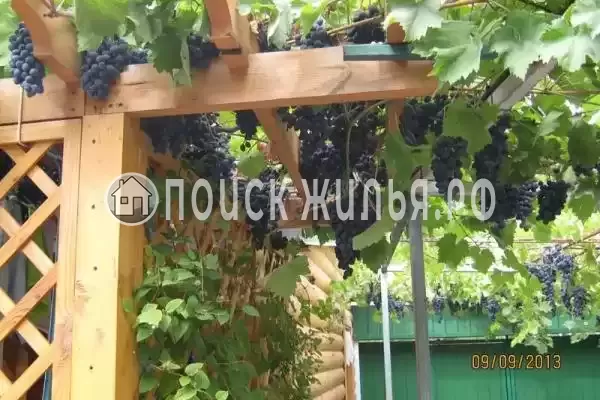 «Алёнушка», Евпатория