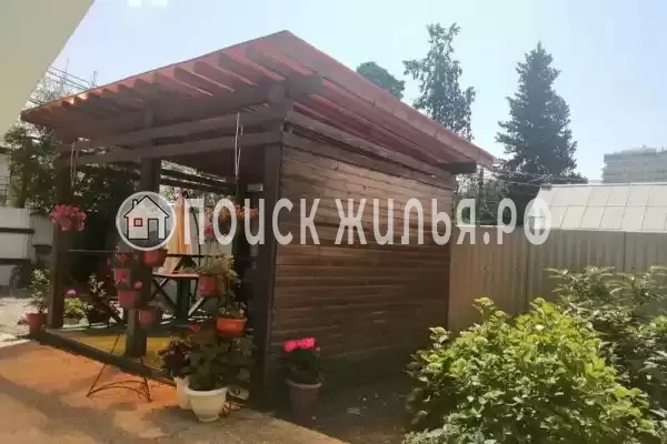 «Чайка», Адлер «Чайка», Адлер