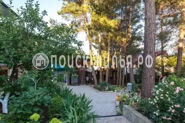 «Чайка», Дивноморское