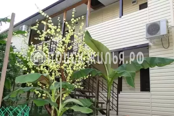 Частный сектор «Санрайз», Лазаревское