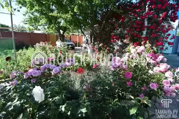 «Людмила», Кучугуры «Людмила», Кучугуры