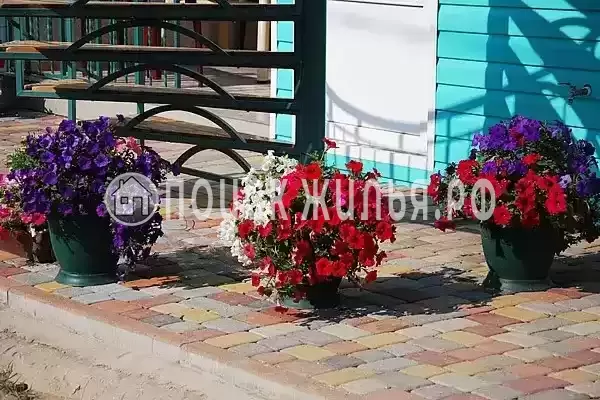 «Чайка», Голубицкая