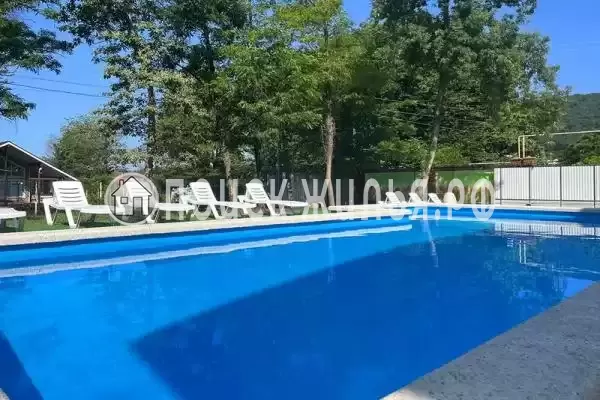 «Амитель», Агой