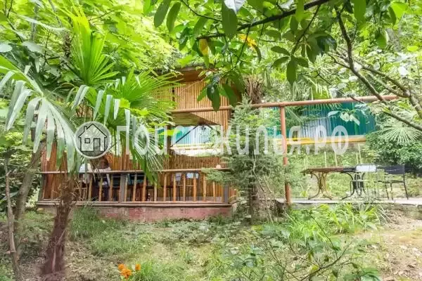 «Самсар», Дагомыс