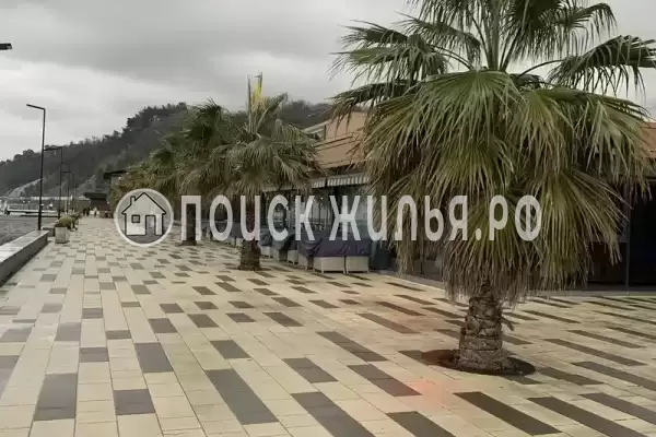 Отель «Самсар», Дагомыс