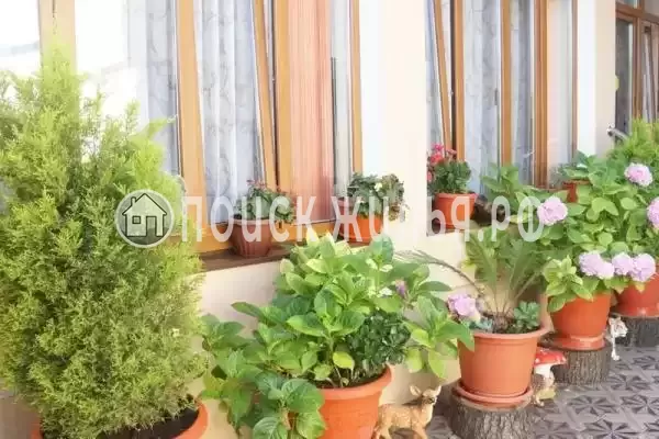 «Балтийский», Дагомыс