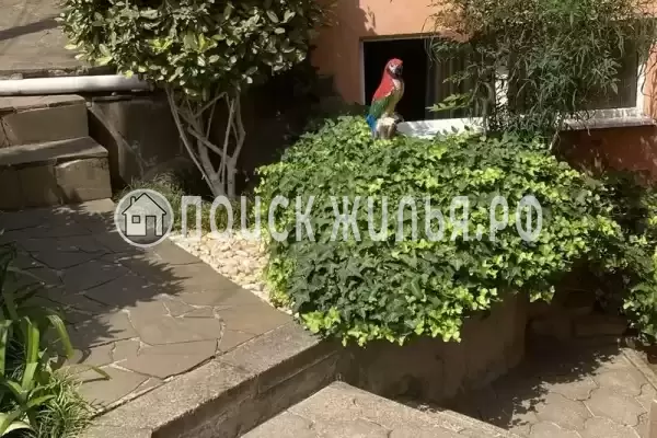 Гостевой дом «Бамбуковый рай», Сочи