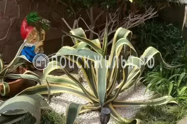 Частный сектор «Бамбуковый рай», Сочи