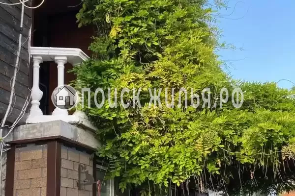 Частный сектор «Колибри», Краснодарский край, Архипо-Осиповка, Колхозная, д.53 Частный сектор «Колибри», Краснодарский край, Архипо-Осиповка, Колхозная, д.53