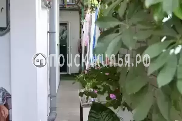 «Арианна», Адлер