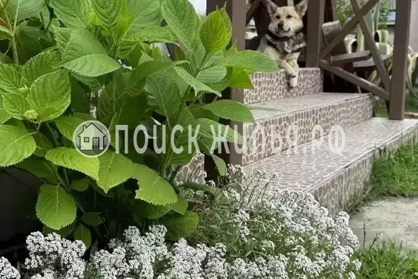 «Штиль», Адлер «Штиль», Адлер