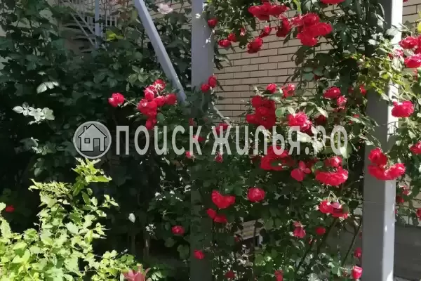 Частный сектор «На Толстого», Анапа