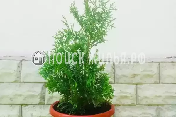 Мира, д.37, Кабардинка