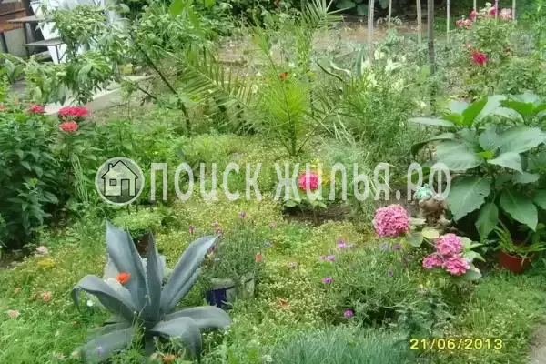 Частный сектор «У кипариса», Цандрипш