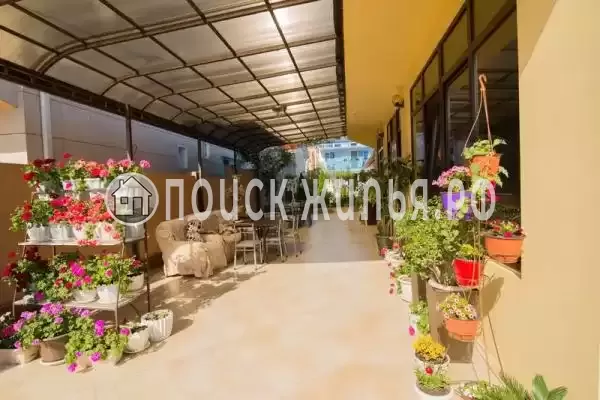 «У Зои», Краснодарский край, Сочи, Адлер, Просвещения, д.136