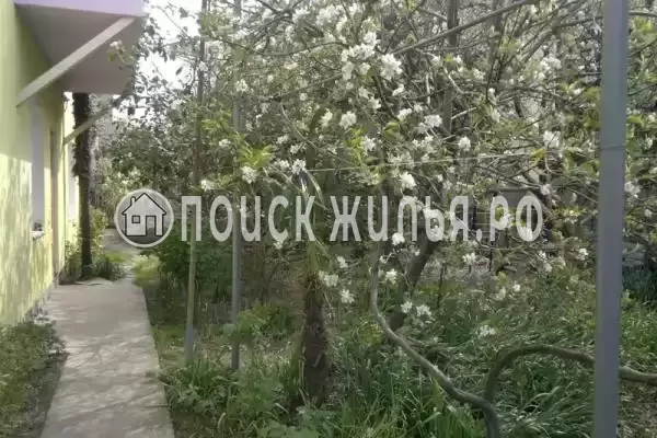 «Фиалка», Адлер