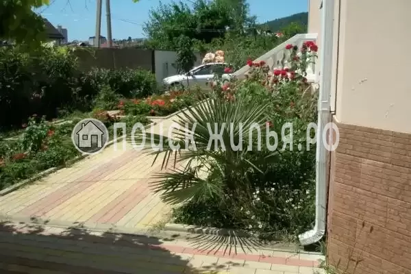 «Березка», Лазаревское