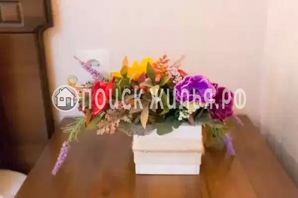 «Русалка», Геленджик «Русалка», Геленджик