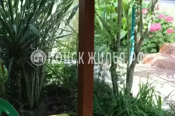 «Колибри», Адлер