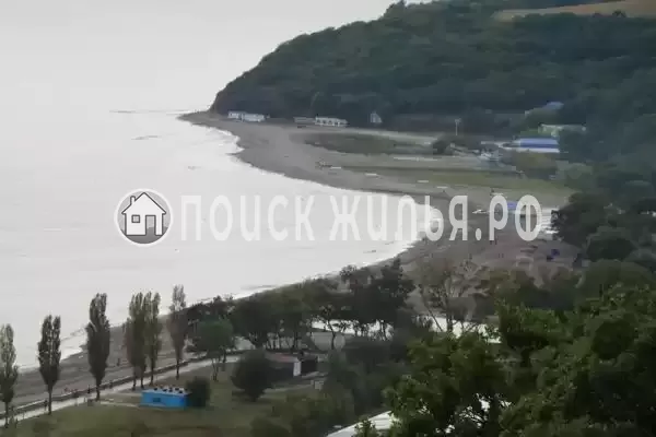 «Алиса», Криница