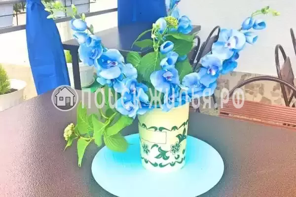 «Каравелла», Адлер