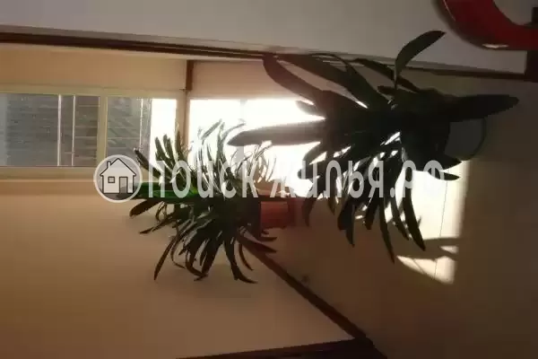 «Адениум», Анапа