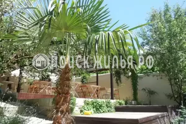 «Рита», Лазаревское