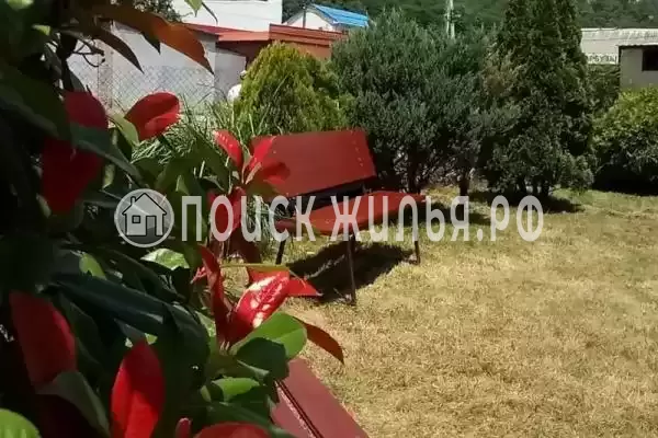 «EllaDen», Ольгинка «EllaDen», Ольгинка