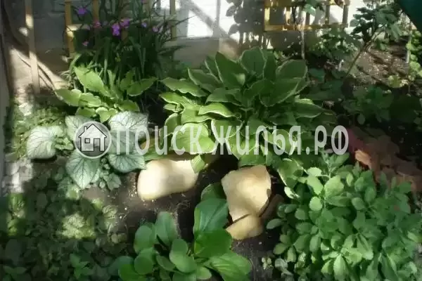 «Уютный дворик», Геленджик