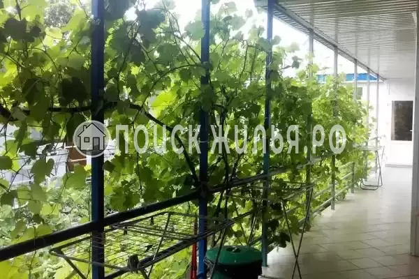 Частный сектор, Самбурова, д.189А, Анапа