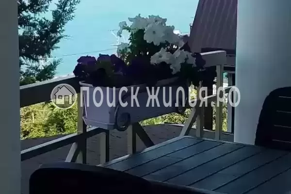 «Магас», Лазаревское