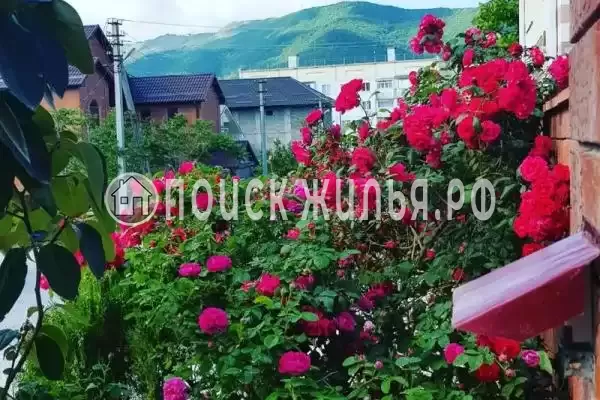 «Флора», Геленджик