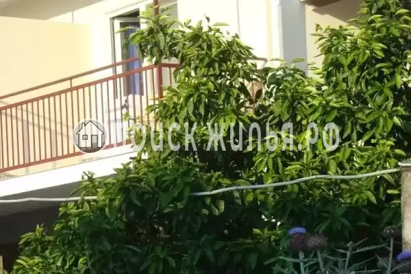 «Бригантина», Головинка «Бригантина», Головинка