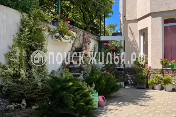 «Свит», Анапа