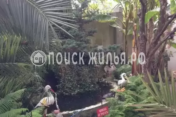 «Светлана», Адлер