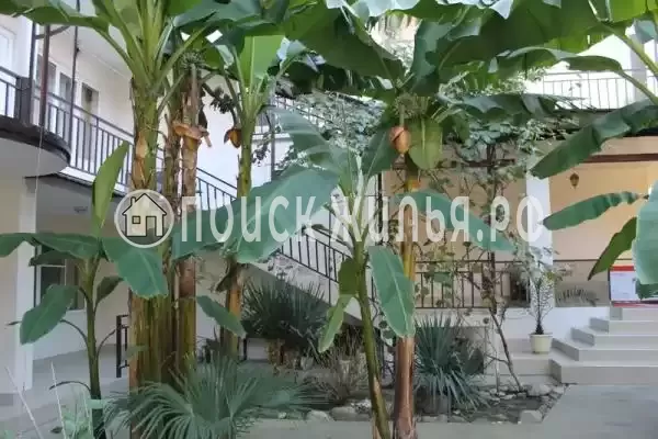 «У Александра», Лазаревское