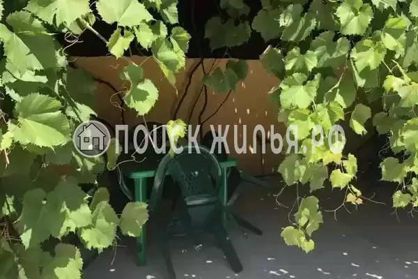 «Нина», Ольгинка