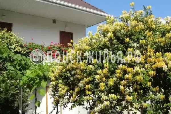 «Аир», Геленджик «Аир», Геленджик