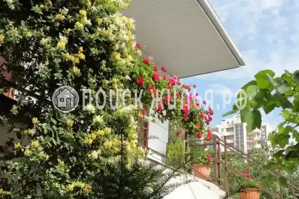 «Аир», Геленджик «Аир», Геленджик