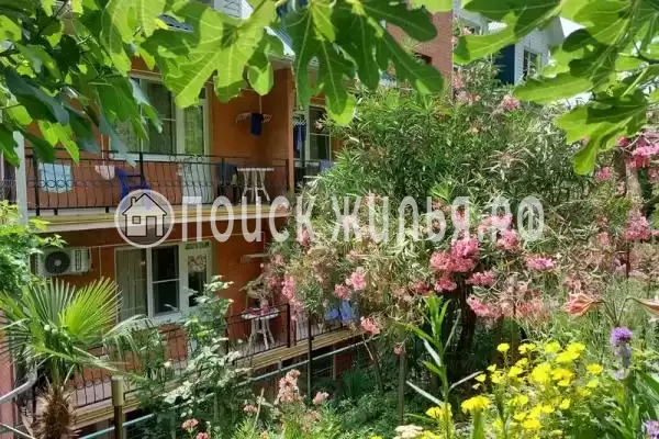 Отель «Арго», Лазаревское