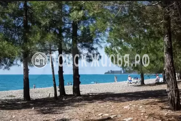 Частный сектор «ЭкоХаус», Пицунда